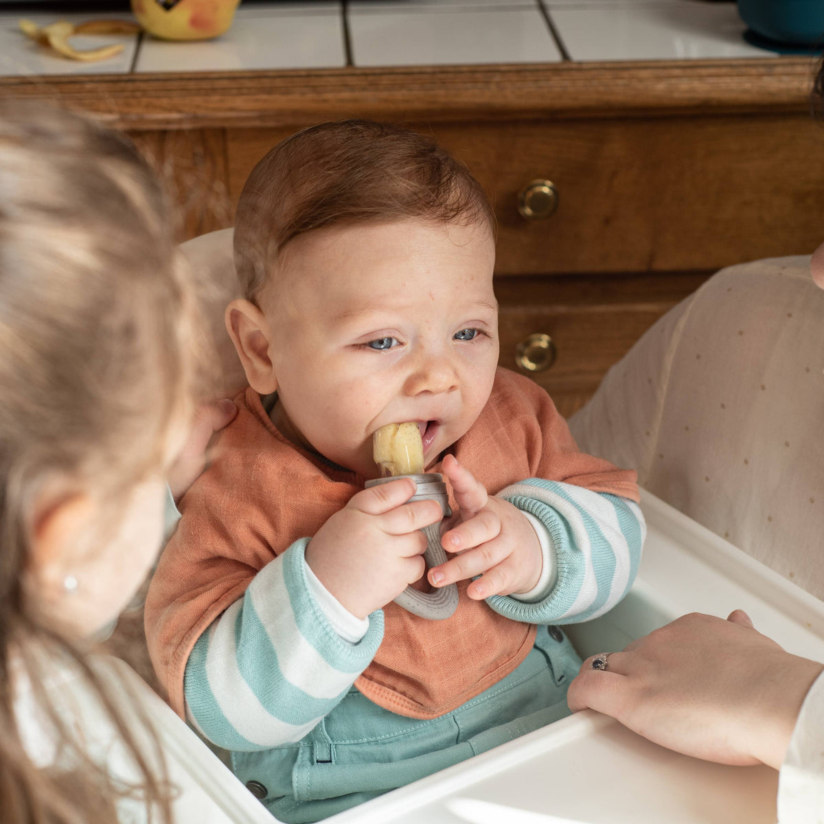 Grignoteuse - Sucette alimentaire pour fruits